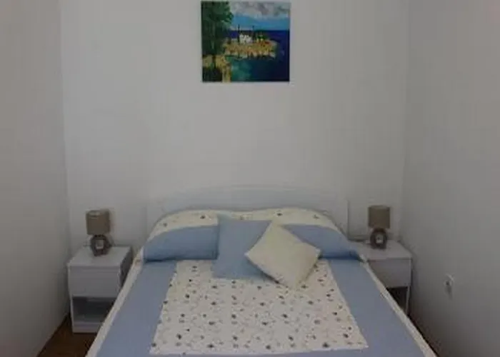 Platanus 트르스테노