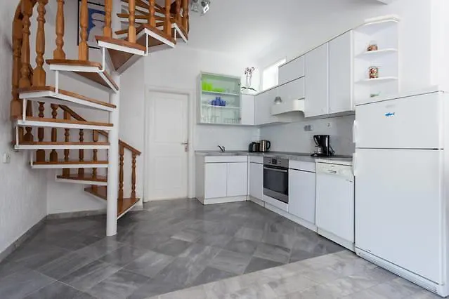 Platanus 트르스테노