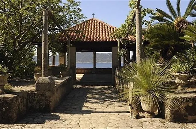 Platanus 트르스테노