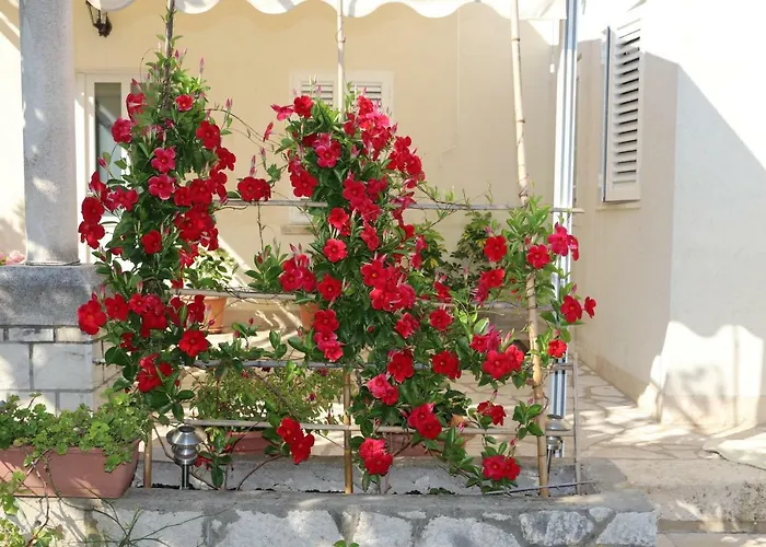 Platanus 펜션 트르스테노